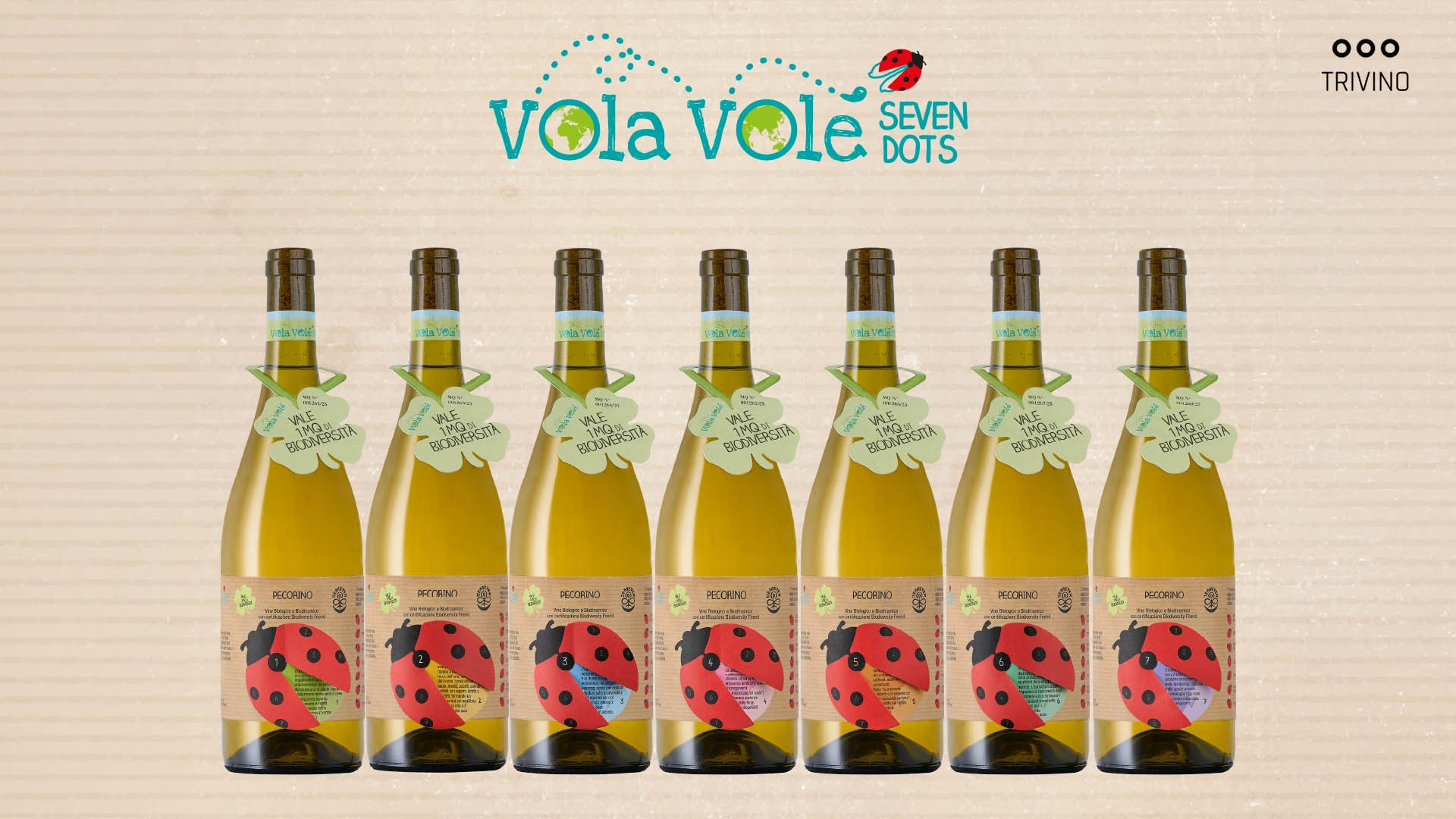 VOLA VOLE SEVEN DOTS Pecorino, 0,75l
